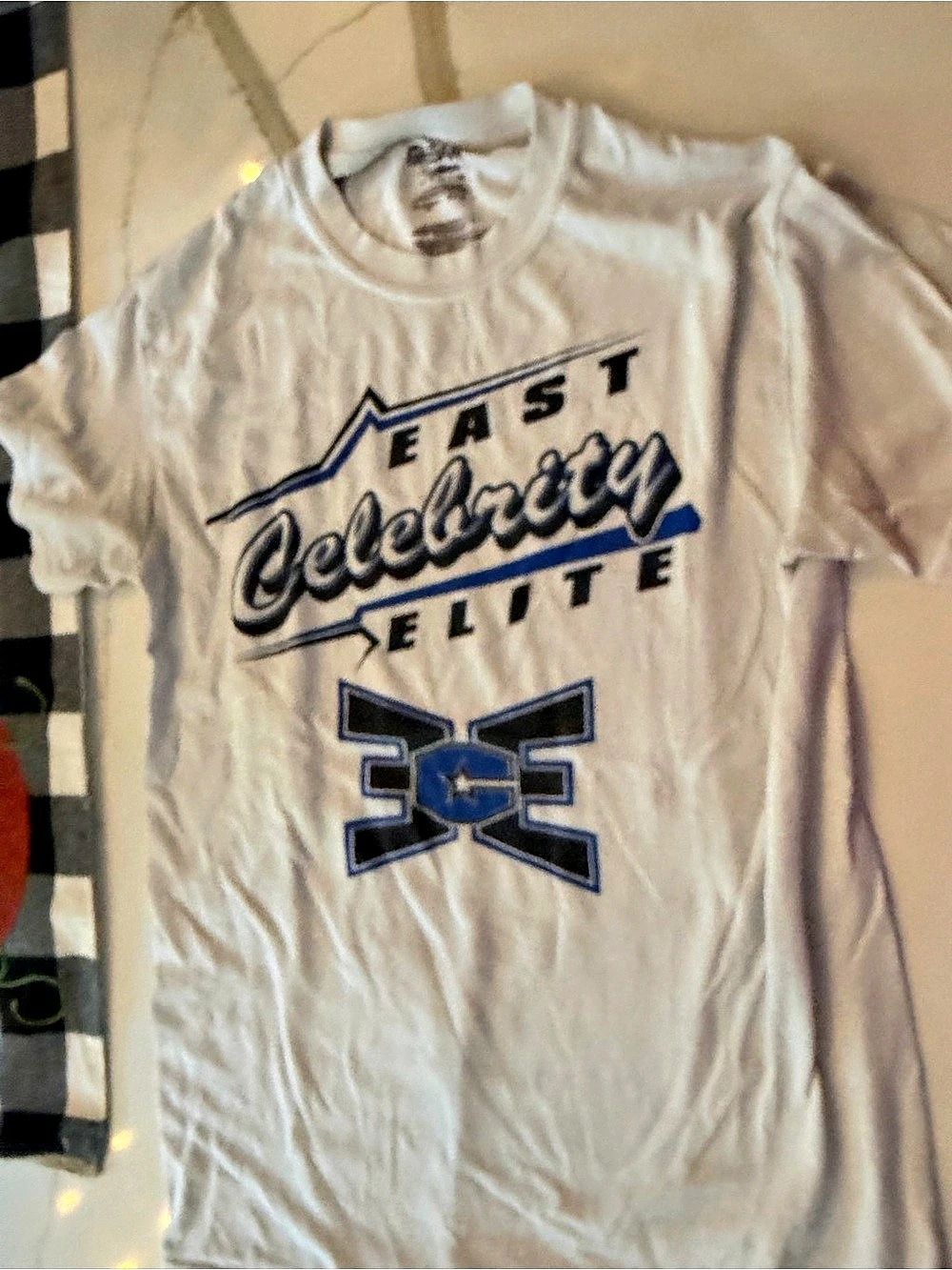 Gildan Graphic Short Sleeve Tee in White & Blue Size Small